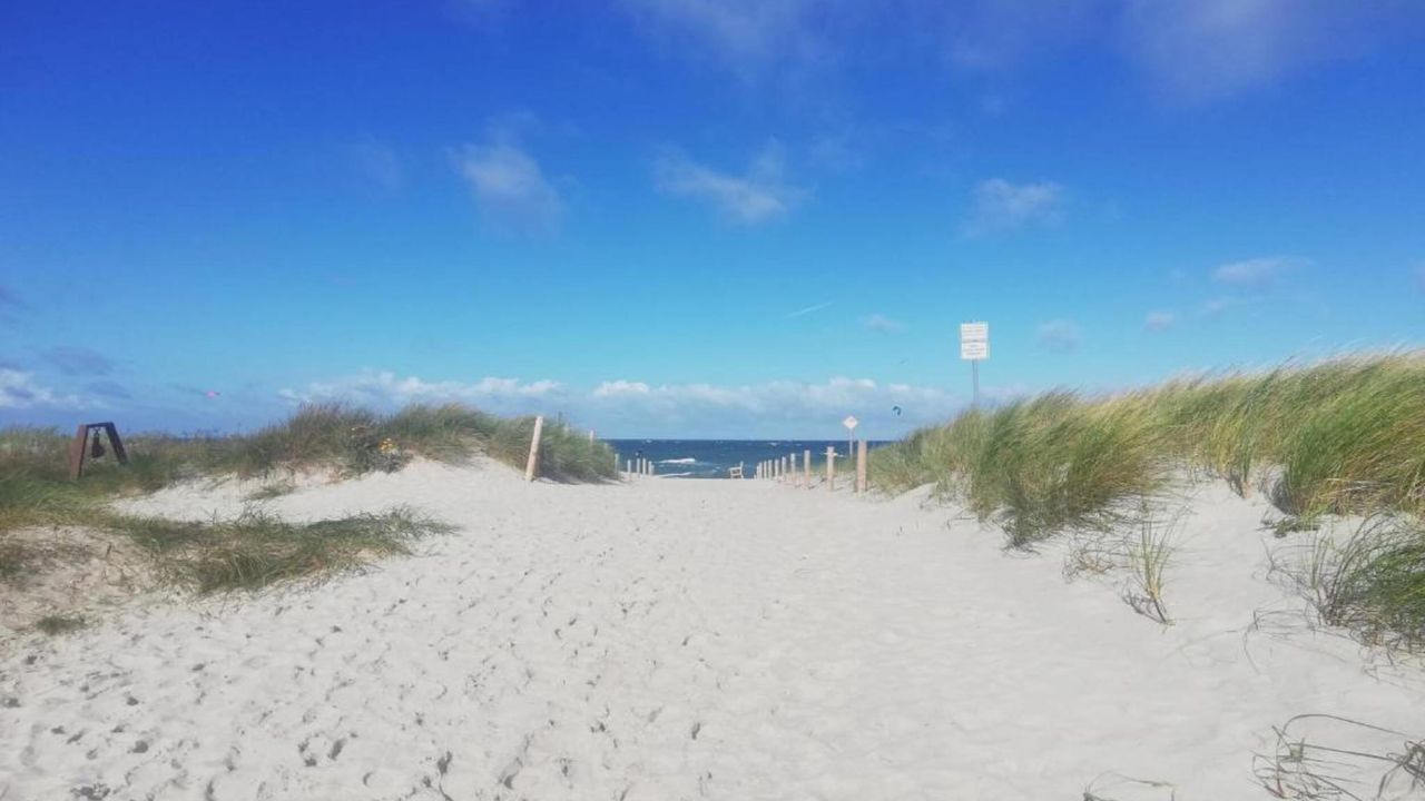 AreaSummer20KM AreaSummer20KM